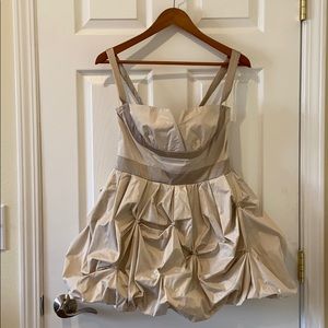 Champagne & Taupe Shimmery Cocktail Dress